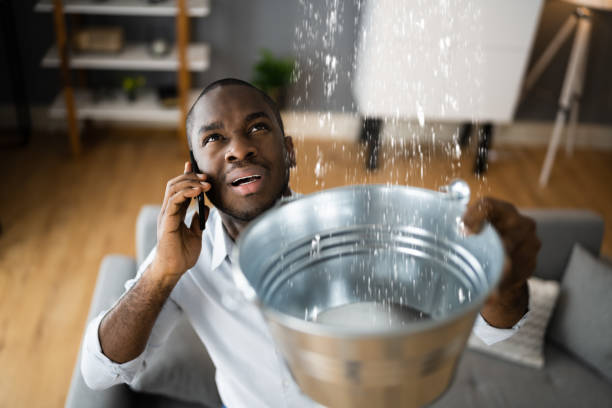Best Ceiling water damage repair  in Fountain Green, UT