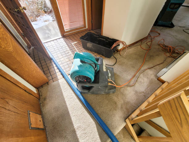 Best Water damage restoration near me  in Fountain Green, UT