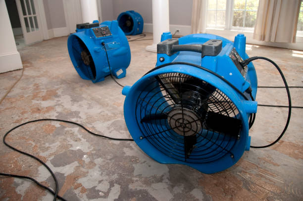 Best Emergency water damage restoration  in Fountain Green, UT