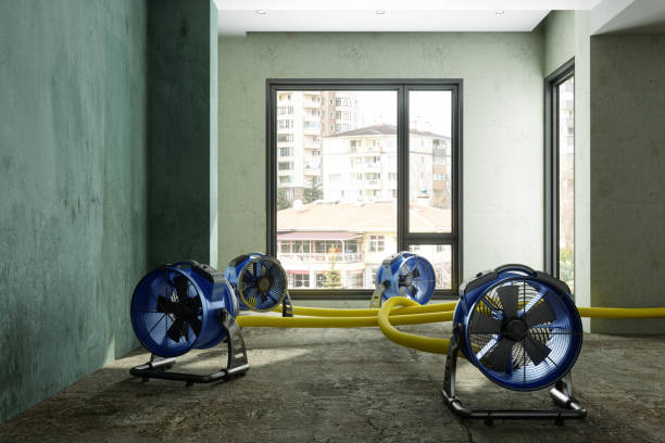 Best 24/7 water damage repair  in Fountain Green, UT