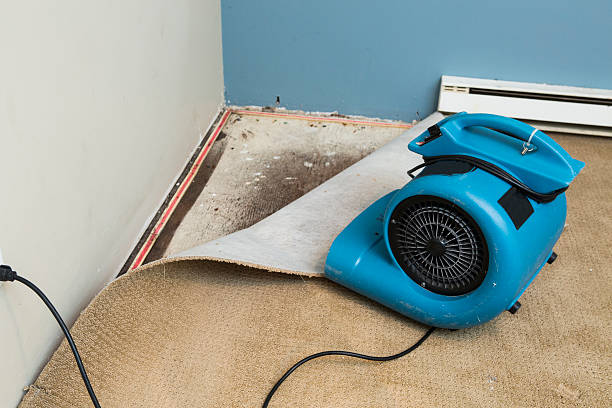 Best Flooded house restoration  in Fountain Green, UT